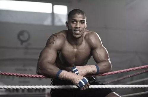 约书亚个人资料,信仰的勇士，以色列的领袖