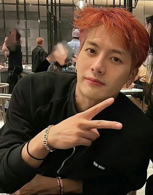 王嘉尔背景资料,王嘉尔的成长之路